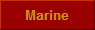 Marine