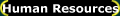 Human Resources
