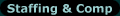 Staffing & Comp