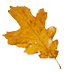 leaf-1