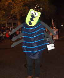 beetle