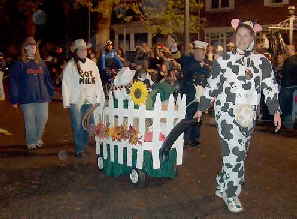 cows
