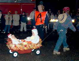chickens