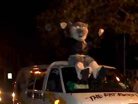 the rat