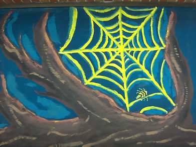 spider in web