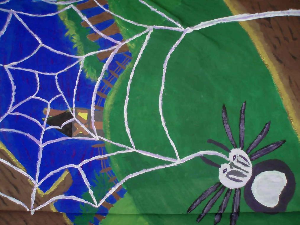 Spider web