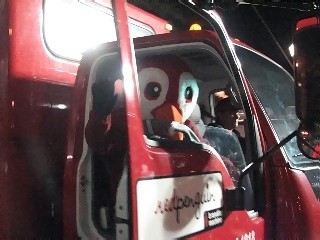 bird in truck