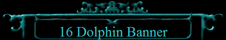 16 Dolphin Banner