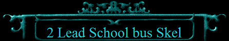 2 Lead School bus Skel