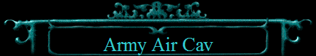 Army Air Cav