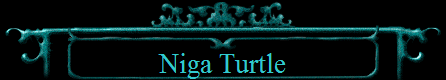 Niga Turtle