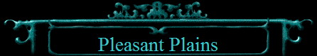 Pleasant Plains