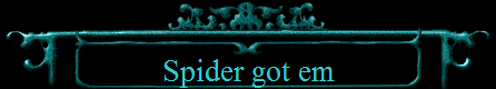 Spider got em