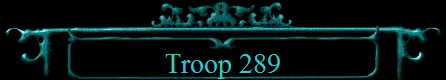 Troop 289