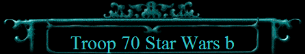 Troop 70 Star Wars b
