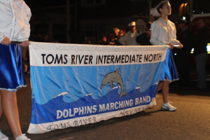 16 Dolphin Banner