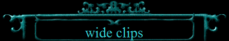 wide clips